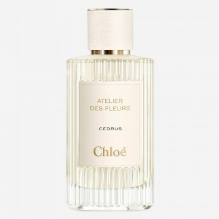 CHLOE CEDRUS